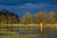 Hochwasser  - Zum Vergroessern klicken!
